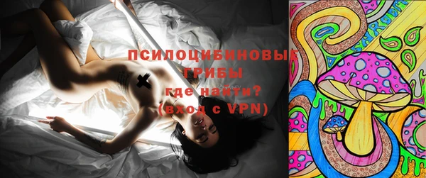 экстази Новодвинск