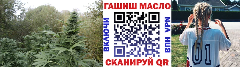 ТГК концентрат Купить где Яблоновский